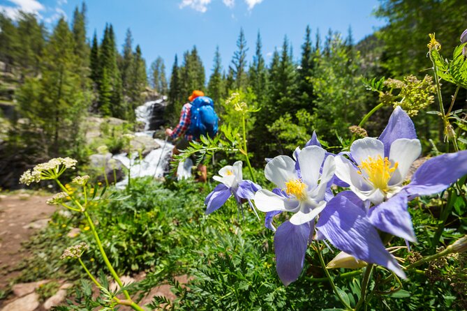 Full-Day Private Guided Scenic Colorado Mountain Hike - How private touring changes the day