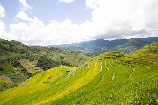 Full Day Private Trekking Mu Cang Chai - Hau De waterfall and the Hill of Wind