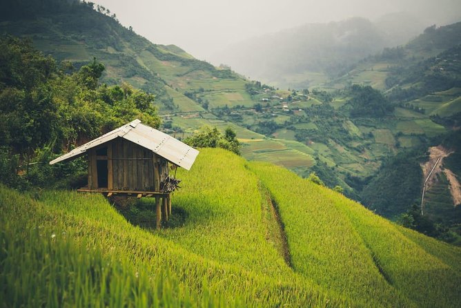 Full Day Private Trekking Mu Cang Chai - La Pán Tẩn and the famous Raspberry Hill