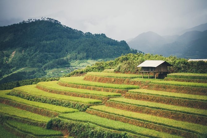 Full Day Private Trekking Mu Cang Chai - The final view from Panoramic Hill