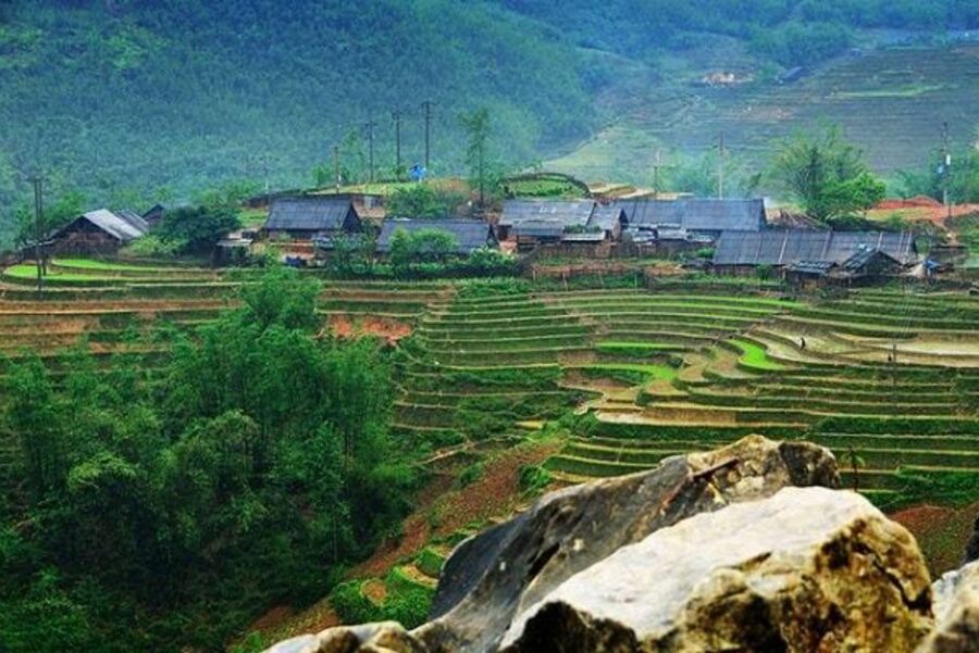 Full Day Tour in Sapa Trekking with Local guide - Why this Sapa walk feels different from a town tour