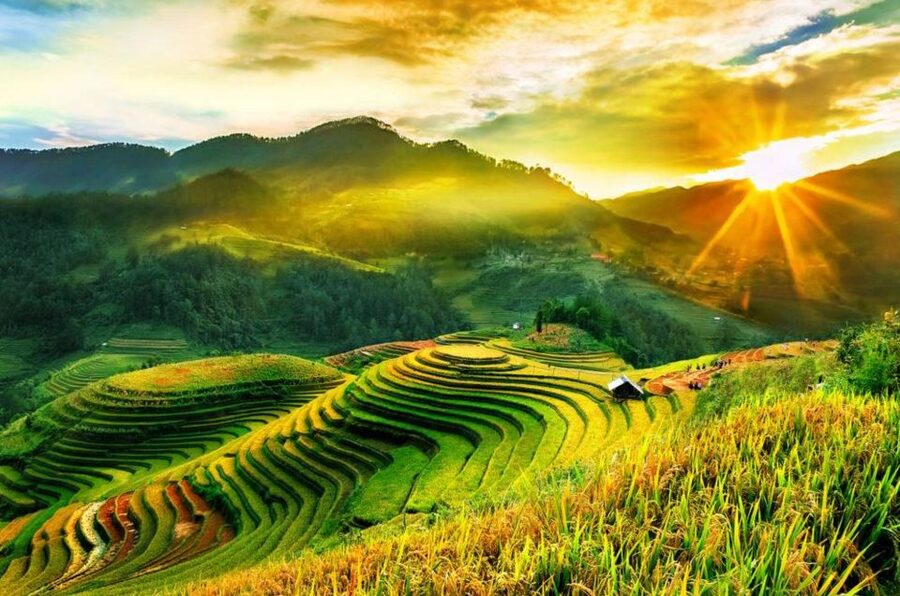 Full Day Tour in Sapa Trekking with Local guide - Starting from Sapa town at 8:00