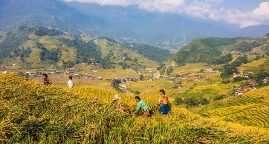 Full Day Tour in Sapa Trekking with Local guide - A waterfall break and time for photographs