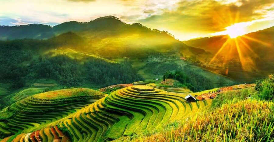 Full Day Tour in Sapa Trekking with Local guide - Walking through rice, corn, and potato terraces