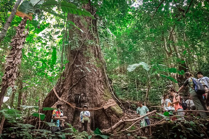 Full-Day Trekking and Sightseeing Tour in Mae Kampong - Why Mae Kampong makes a good change from Chiang Mai