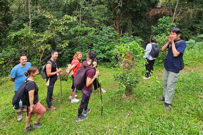 Full-Day Trekking and Sightseeing Tour in Mae Kampong - Who will enjoy this day most