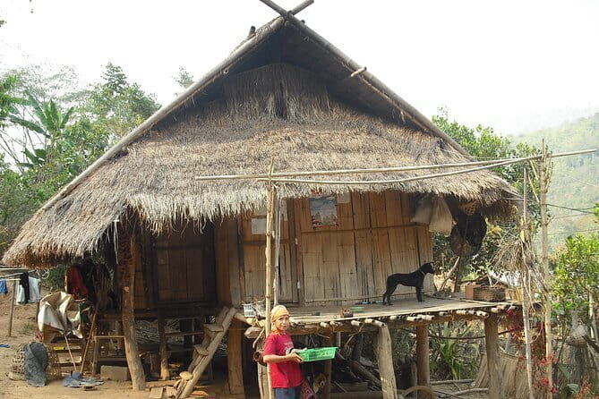 Full Day Trekking & bamboo cooking Tour in Chiang Rai - Tea fields, waterfall, and the Lisu village area