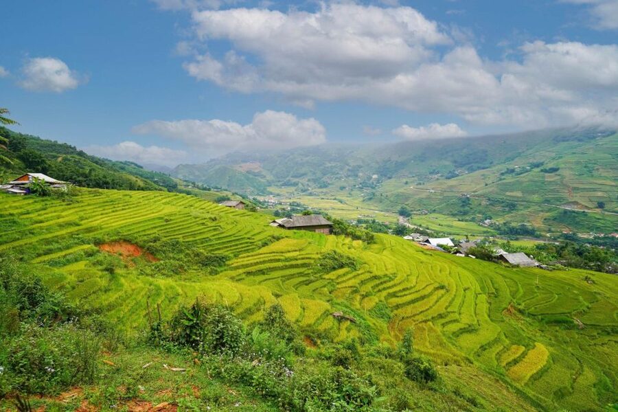 Full Day Trekking Lao Chai-Ta Van and Cat Cat Village - Ta Van and the long morning finish