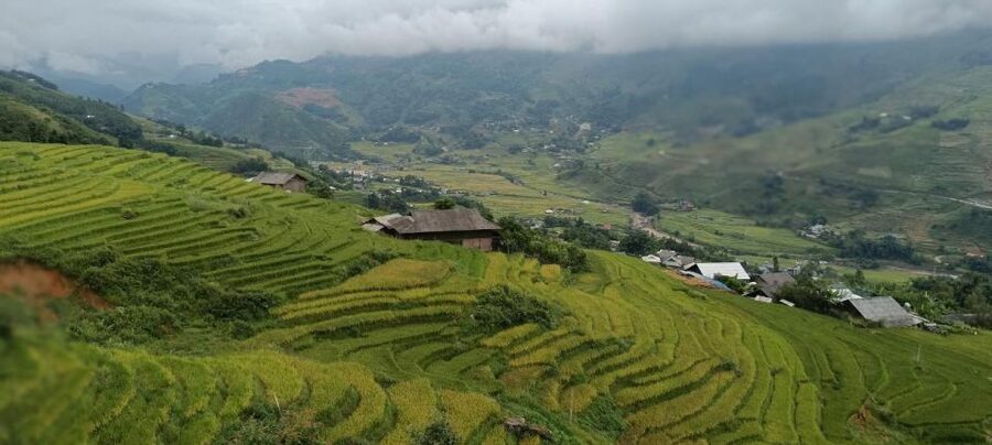 Full Day Trekking Lao Chai-Ta Van and Cat Cat Village - Lunch and the unusual split in the day