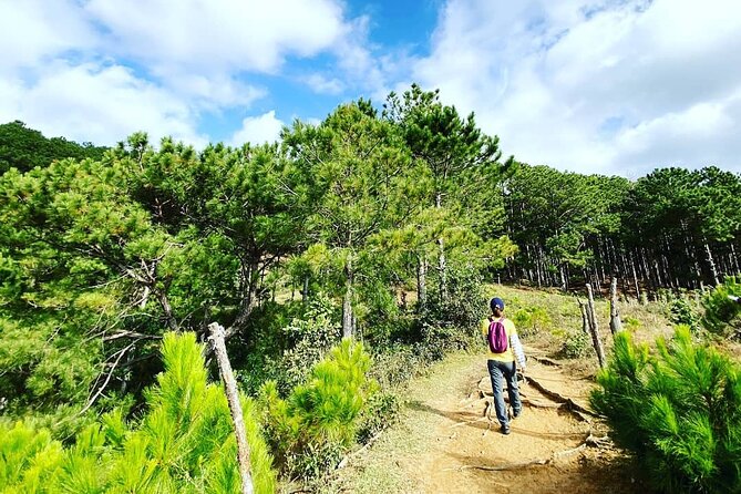 Full day Trekking On Langbiang Mountain - Key points to know before you book