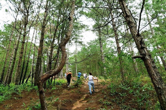 Full day Trekking On Langbiang Mountain - The Langbiang Trail, from pine forest to jungle