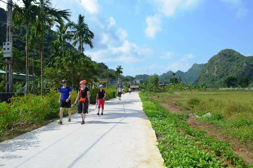Fullday Trekking in Cat Ba National Park to Viet Hai Village - Cycling from Viet Hai toward the dock