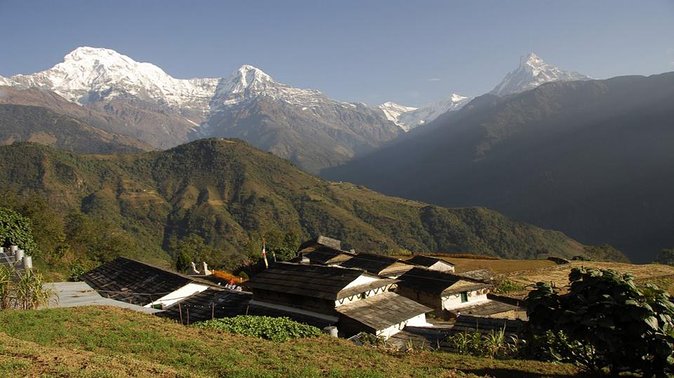 Ghorepani Ghandruk Trek ( Poon Hill circuit, Annapurna sunrise view trek) - Ulleri begins with a serious staircase