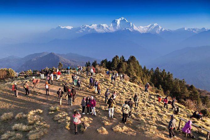 Ghorepani Poon Hill Sunrise Trek - Key points to know before you book