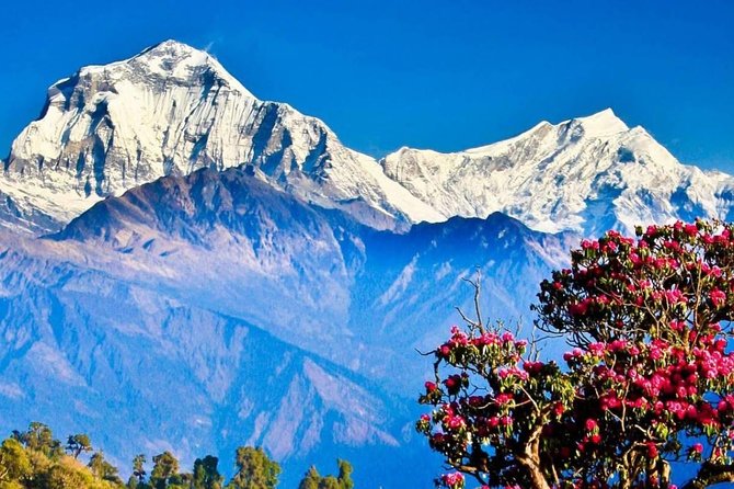 Ghorepani Poon Hill Sunrise Trek - Day 2: Kathmandu to Pokhara by road or air