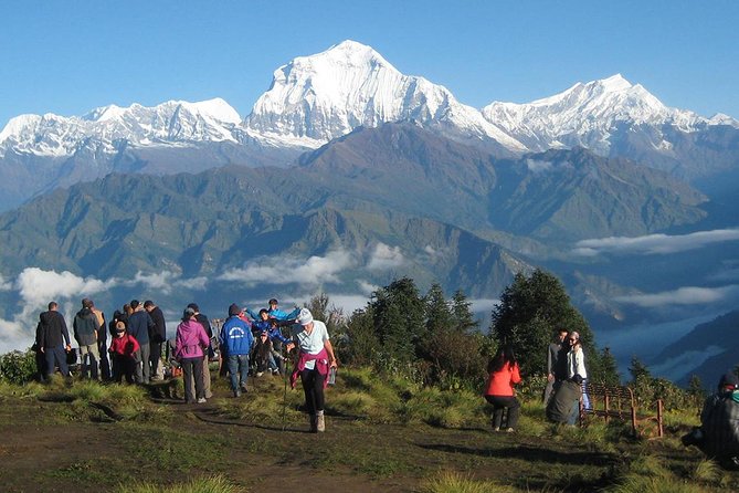 Ghorepani - Poon Hill Trek 3N-4D - The pre-sunrise climb to Poon Hill
