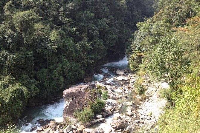 Ghorepani Poon Hill Trek - What the guide adds to a private trek