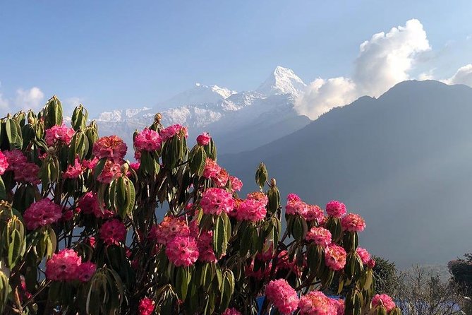 Ghorepani Poon Hill Trek - Day 2: Kathmandu’s UNESCO Sights