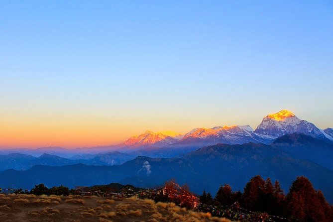 Ghorepani - Poon Hill yoga Trek - 10 Days - Day 5: Poon Hill sunrise and the forest trail to Tadapani