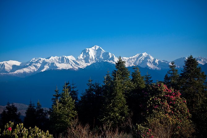 Ghorepani - Poon Hill yoga Trek - 10 Days - Day 6: Tadapani to Ghandruk and Gurung culture