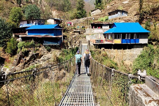 Ghorepani Poonhill Trek from Kathmandu | Best Short Trek in Nepal - Ulleri and rhododendron forest lead to Ghorepani