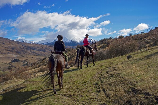 Gold Discovery Trail Horse Trek Cardrona - Most popular! - From the stables to the valley trails
