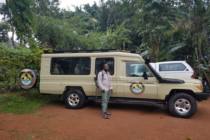 Gorilla & Chimpanzee Trekking in Uganda - 5 Days - Day 4: The Bwindi gorilla trek