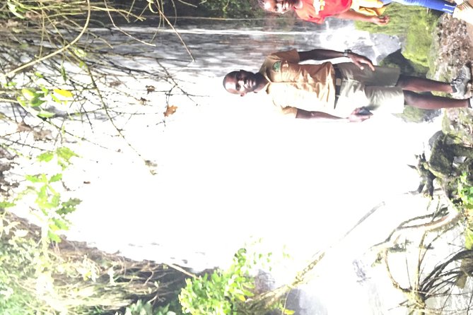 Gorilla trekking - Day 3: the long return and a ten-minute equator stop