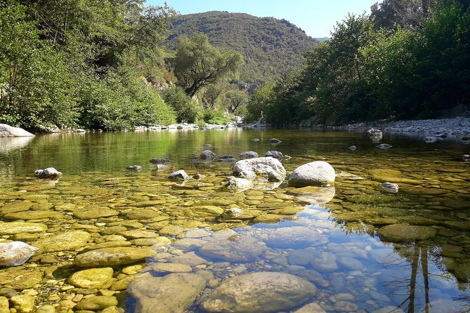 Gorropu canyon guided hike - Walking through woodland and along Mount Oddeu
