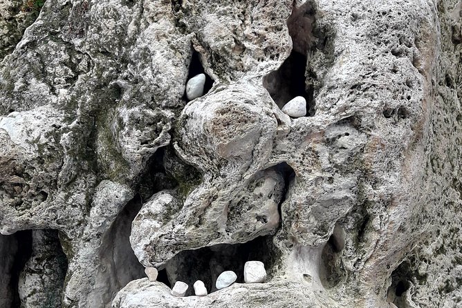 Gorropu canyon guided hike - The canyon’s cool microclimate