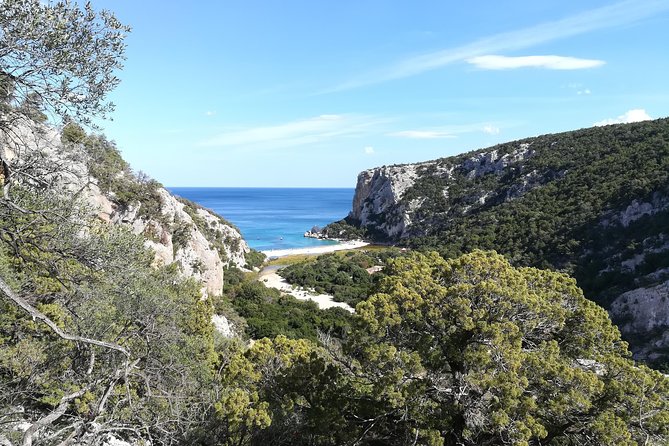 Guided hike to Cala Luna, the pearl of the Gulf of Orosei - The steep return, or a boat to Cala Gonone