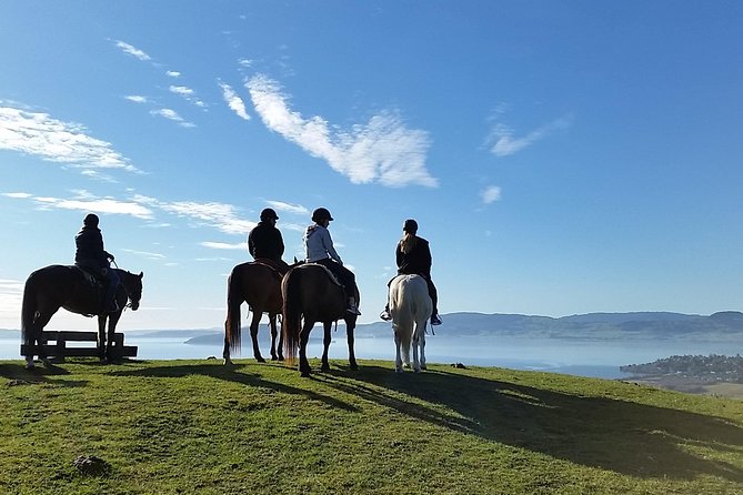 Guided Horse Trekking from Rotorua - Key points at a glance