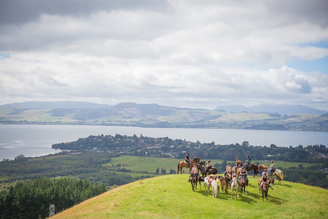 Guided Horse Trekking from Rotorua - Getting started at Adventure Playground Rotorua