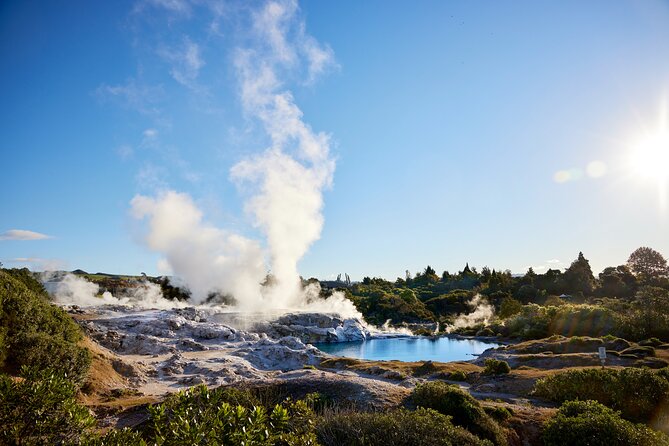 Guided Horse Trekking from Rotorua - Why beginners often feel comfortable here