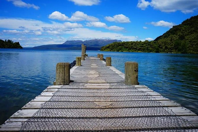 Guided Horse Trekking from Rotorua - Is one hour long enough?