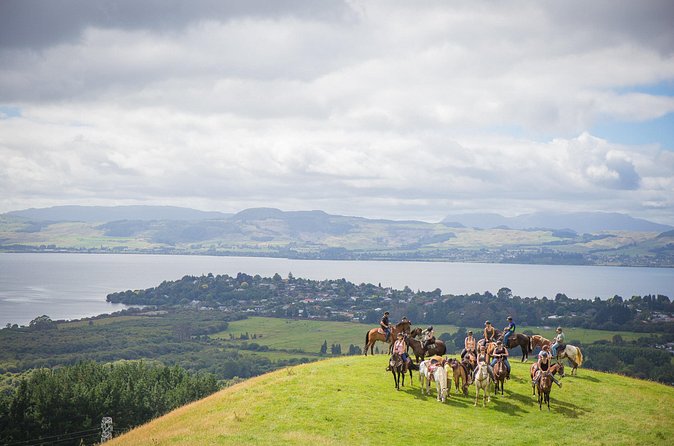 Guided Horse Trekking from Rotorua - From the lower farm to the hilltop view
