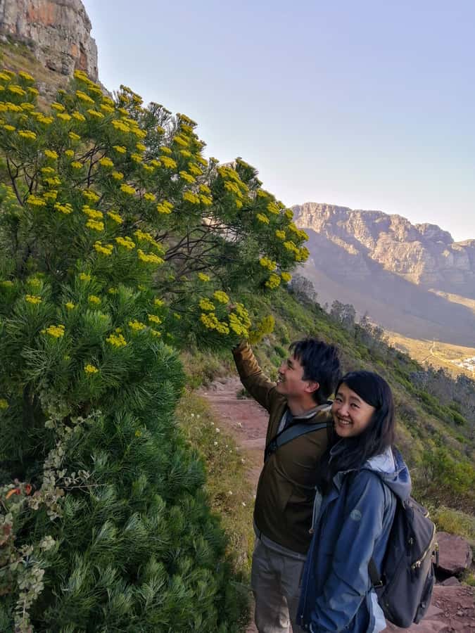 Guided Table Mountain Hike – Kasteelspoort Scenic Route - Walking through the Valley of the Red Gods
