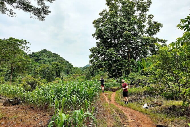 Ha Giang Loop Trekking Full Day Tour - A village walk instead of another mountain viewpoint