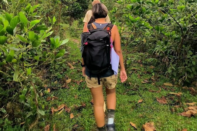 Ha Giang Loop Trekking Full Day Tour - Should you book this Ha Giang day tour?
