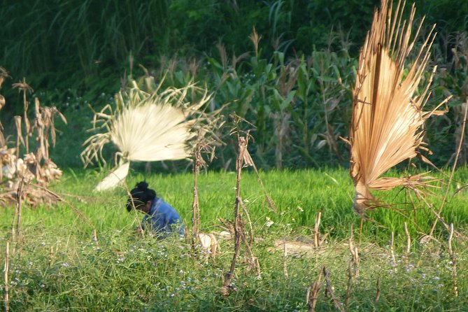 Ha Giang Trekker 2D2N - Key points to know before you book