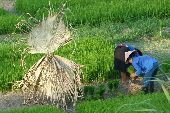 Ha Giang Trekker 2D2N - Who will enjoy this trek most?