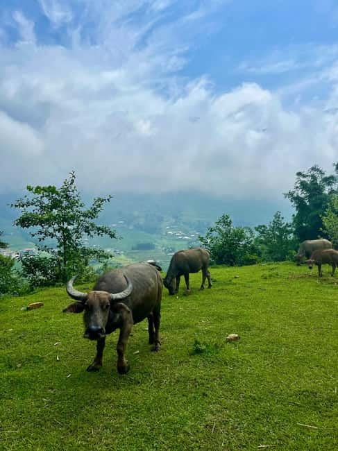 Ha Noi-Sapa Authentic Trek & Homestay wih hmong women (2D1N) - What $78 includes, and where the value lies