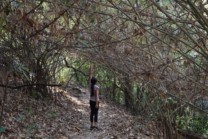 Half Day Doi Suthep Temple and short trekking on monk trail (Private Tour) - The Monk Trail adds a real walk to the temple visit