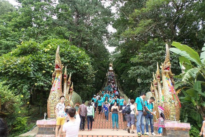 Half Day Doi Suthep Temple and short trekking on monk trail (Private Tour) - What guides and drivers add to the morning
