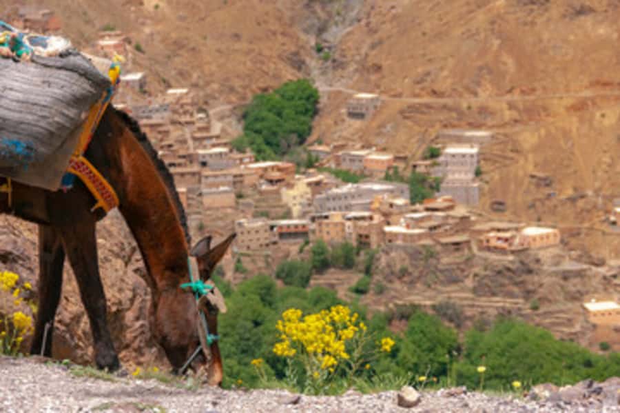 Half Day Guided Trek departure from Imlil - Tea on a balcony in a local home