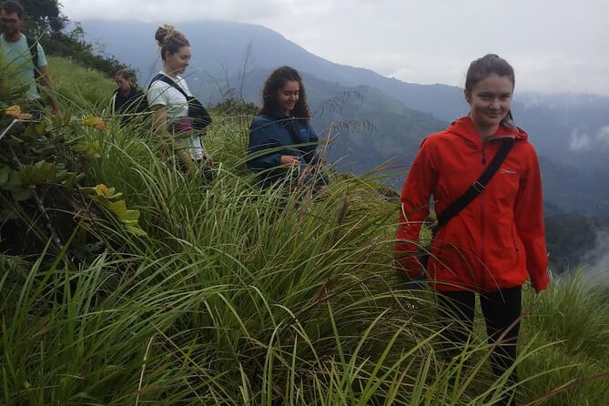 Half Day Hiking in Munnar Trekking Tour - What the guides add to the day