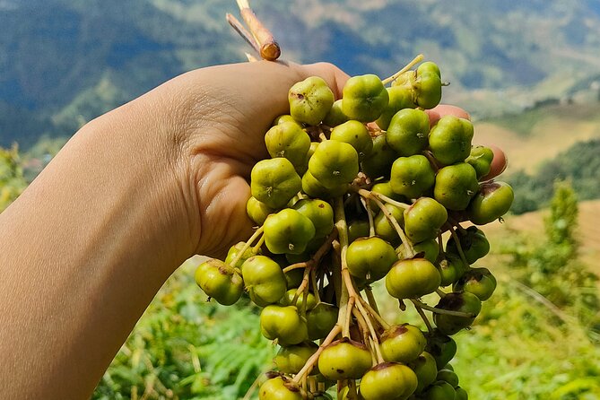 Half Day Private Trekking Mu Cang Chai_Morning or Afternoon - Why the guide matters here