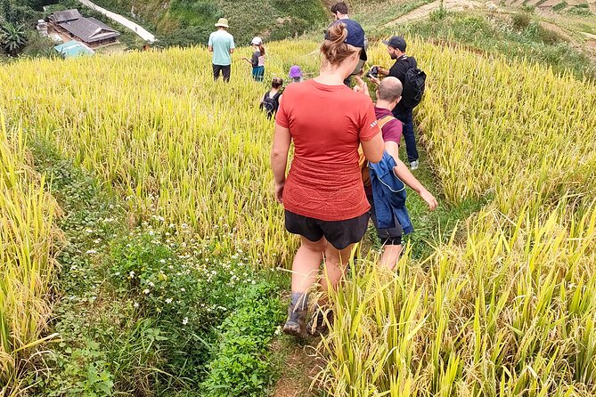 Half Day Private Trekking Mu Cang Chai_Morning or Afternoon - Who will enjoy this most