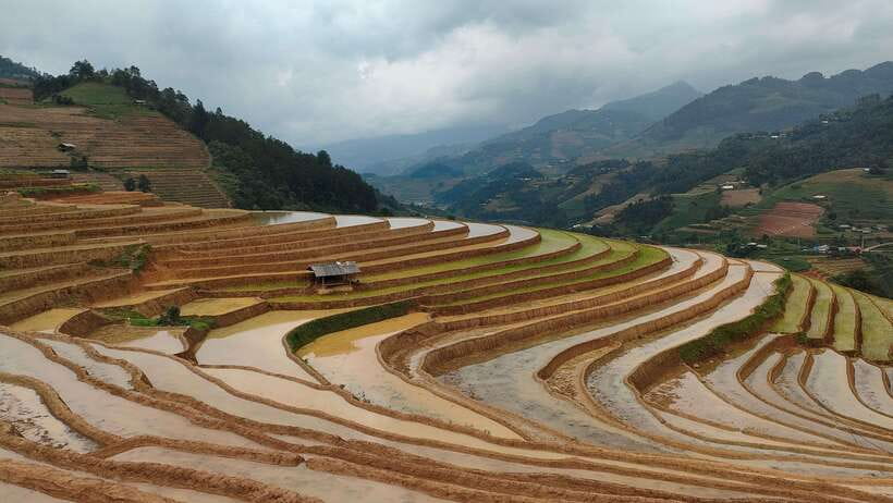 Half Day Private Trekking Mu Cang Chai_Morning or Afternoon - Should you book this Mu Cang Chai trek?