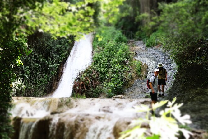 Half-Day River Trekking Stenosia from Kalamata - Key points to know before booking